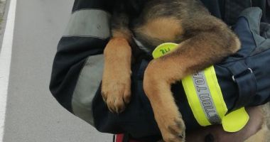 Accident rutier, soldat cu o persoană încarcerată - 2