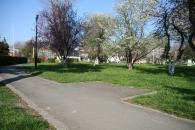 Stire din Eveniment : Cimentăm sau plantăm?