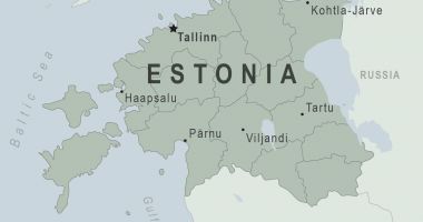 73 companii estoniene activează în România