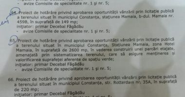 UPDATE. A început ședința Consiliului Local Constanța. 87 de proiecte, pe ordinea de zi - 2