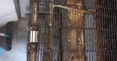 Amenzi de 144.000 de lei în Constanța. Insecte, produse expirate și mizerie, descoperite la restaurante și baruri