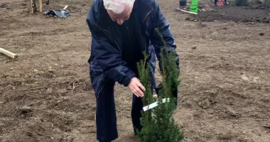 Lecție de implicare! Ploaia nu a oprit voluntarii să planteze copaci la Palatul Copiilor - 2