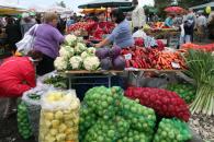 Constanța sărbătorește Zilele Recoltei