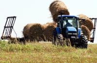 Stire din Economie : Camerele agricole, aceeași Mărie cu altă pălărie