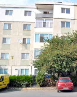 Stire din Cetățenești : "Să ții 30 de pisici în apartament, clar dispreț față de vecini!"