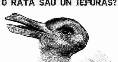 TEST! Ce vezi în imagine? Află ce spune asta despre tine! - 2