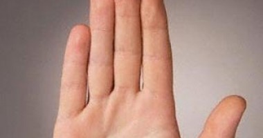 Stire din Sănătate : Lungimea degetelor ar putea indica starea de sănătate