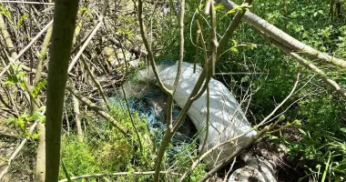 Acțiune de amploare împotriva braconajului. Cinci persoane surprinse pescuind ilegal pe fluviul Dunărea - 5