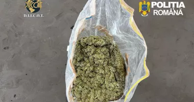 Tineri prinși de autoritățile constănțene după ce au comandat cinci kilograme de droguri din Spania