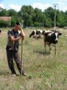 Stire din Economie : Crescătorii de animale amenință cu noi acțiuni de protest, dacă nu le sunt rezolvate cererile