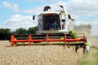 Stire din Economie : Producția agricolă este la jumătate din estimări