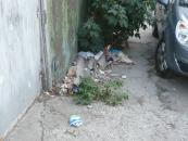 Mizeriile Constanței
