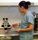 Stire din Social : Se dă startul la fertilizarea in vitro pe banii statului