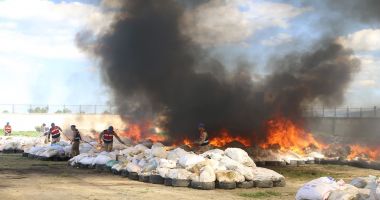 Stire din Actualitate : 20 de tone confiscate de canabis au fost arse pe câmp. Locuitorii au suferit de halucinaţii mai multe zile