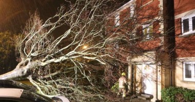 Stire din Actualitate : Furtună violentă în Michigan  / Sute de clădiri au rămas fără acoperiș
