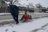 Cod galben de ninsori și polei în Dobrogea