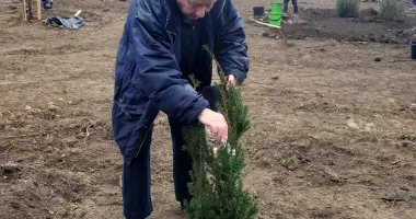 Lecție de implicare! Ploaia nu a oprit voluntarii să planteze copaci la Palatul Copiilor - 3