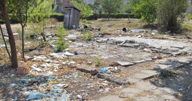 "Leoparzii" din spatele gardului din parcul Casei de Cultură - 3