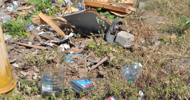 "Leoparzii" din spatele gardului din parcul Casei de Cultură - 4