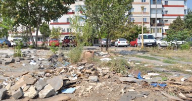 "Leoparzii" din spatele gardului din parcul Casei de Cultură - 5