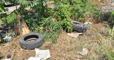"Leoparzii" din spatele gardului din parcul Casei de Cultură - 6