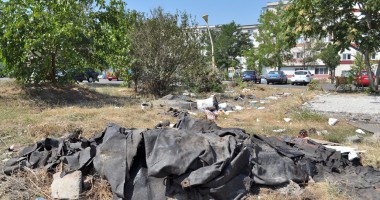 "Leoparzii" din spatele gardului din parcul Casei de Cultură - 7
