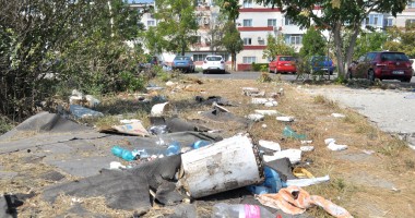 "Leoparzii" din spatele gardului din parcul Casei de Cultură - 8