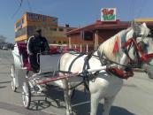 Turiștii au dispărut din Mamaia