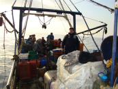 Stire din Eveniment : Pescador bulgar, capturat de polițiștii constănțeni