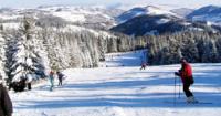 Stire din Economie : Vânzările turistice prin rezervări timpurii salvează tour-operatorii de la faliment, în 2010