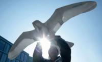 Smart Bird. Prima pasăre robot din lume, prezentată de o companie germană