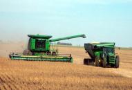 Campania de recoltare a început cu producții la jumătatea celor din 2008