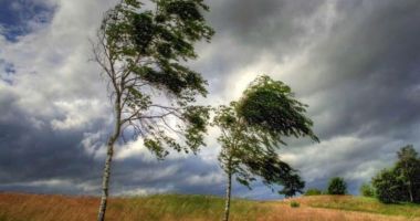 Stire din Social : Cod galben de vânt puternic în Dobrogea