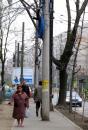 Miliarde de lei peste miliarde pentru vopsitul stâlpilor
