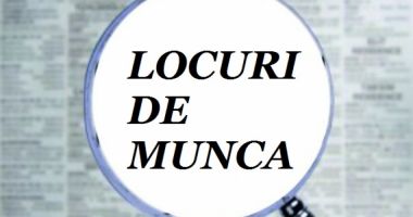 Șomeri, iată ce locuri de muncă aveți la dispoziție!