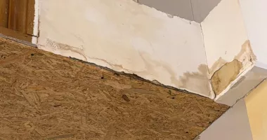 "Sala Sporturilor reprezintă astăzi un pericol real pentru oricine îi calcă pragul", avertizează Horia Constantinescu - 11