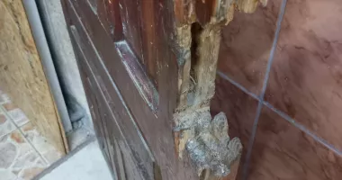 Amenzi de peste 160.000 de lei după controalele ANPC. Activitatea mai multor operatori, suspendată - 13