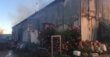 GALERIE FOTO / Incendiu puternic la Tuzla. O brutărie a ars din temelii - 2