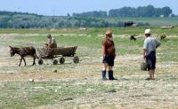 Stire din Politică-Administrație : CJC a pus mâna pe sute de hectare de teren agricol din județ
