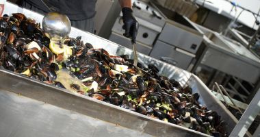 FOTO. Patru zile de muzică, distracţie şi mâncare bună. „Festivalul Tradițiilor și Gastronomiei Pescărești s-a încheiat și cu decizii” - 4