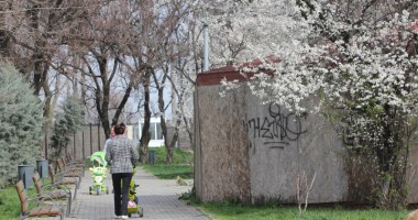 Stire din Cetățenești : Parc sau refugiu pentru "drogați și derbedei"? / Galerie foto