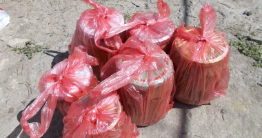 Galerie Foto - Braconajul piscicol, în atenția Gărzii de Coastă - 3