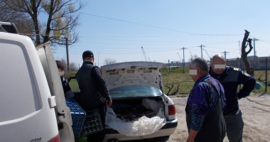 Stire din Eveniment : Galerie Foto - Braconajul piscicol, în atenția Gărzii de Coastă