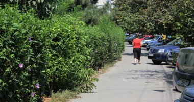 Unde se cuibăresc tâlharii la drumul mare? - 2