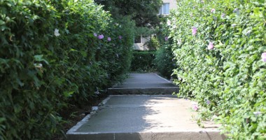 Unde se cuibăresc tâlharii la drumul mare? - 3