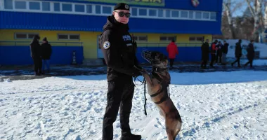 Stire din Eveniment : Descinderi, infracțiuni și amenzi! Sute de misiuni în doar 13 zile ale jandarmilor constănțeni
