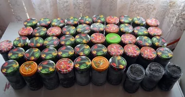 Peste 15 kilograme de icre negre, ridicate în urma unor percheziții coordonate de procurori - 2