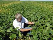 Producția națională de soia a scăzut cu 14%, în 2009