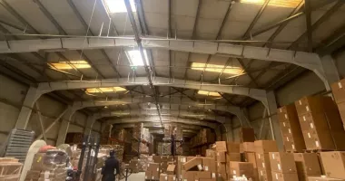 Rețea internațională destructurată în dosar de fraudă cu suplimente alimentare și prejudicii de sute de milioane de euro - 4