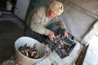 Stire din Eveniment : Șoseaua de coastă se poticnește în colibele pescarilor